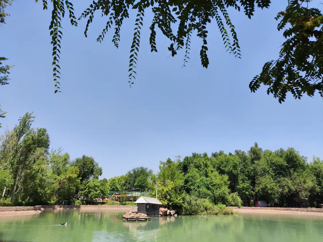 Hotels near Tashkent Zoo
