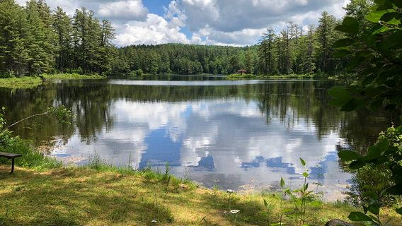 Lowell Lake State Park