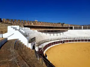 Castillo Templario de Fregenal de la Sierra