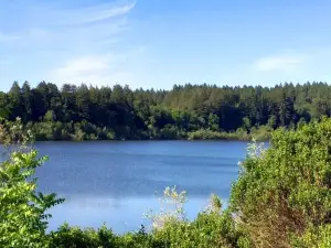 Riverfront Regional Park