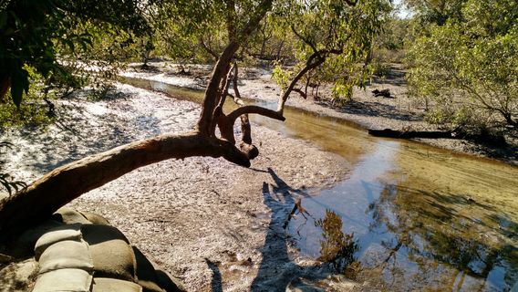 North Stradbroke Island
