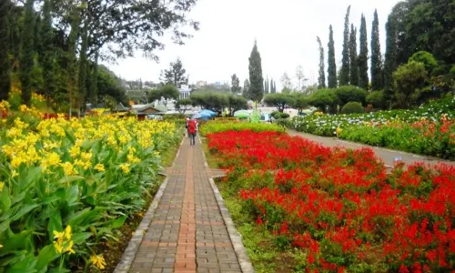 Selecta Recreational Park