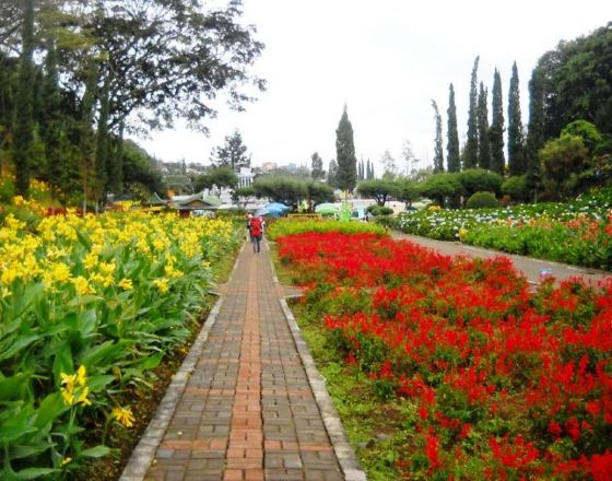 巴圖 自由行套票