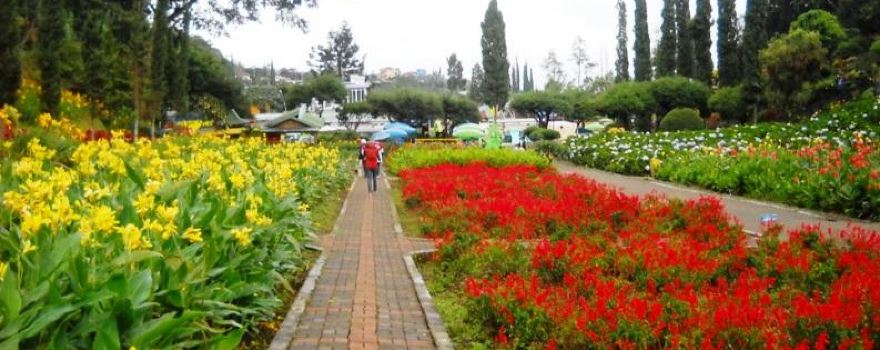 Selecta Recreational Park