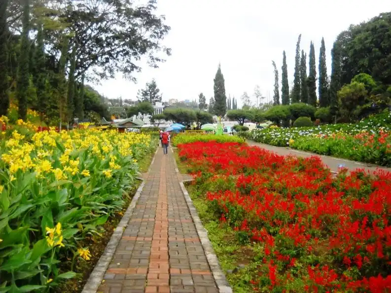 Hotels near Selecta Recreational Park