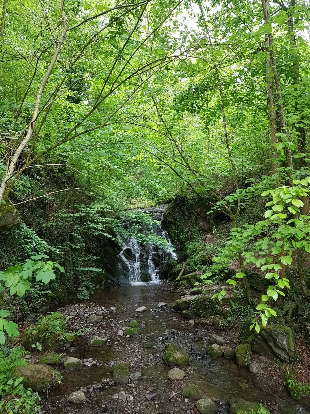 Hotels in der Nähe von Elfengrotte (Käsegrotte)