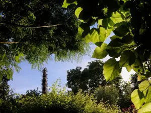 Jardin Intérieur à Ciel Ouvert
