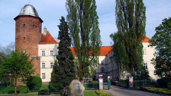 Castle Koźmin Wielkopolski.