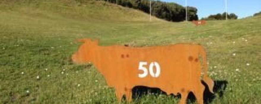Truemans Golf Range
