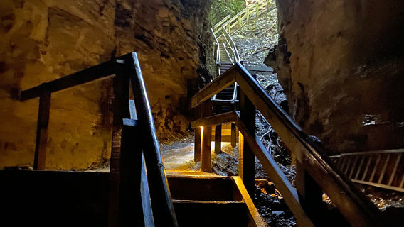 Footwhistle Glowworm Cave