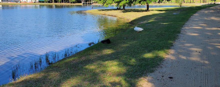 Luther Britt Park
