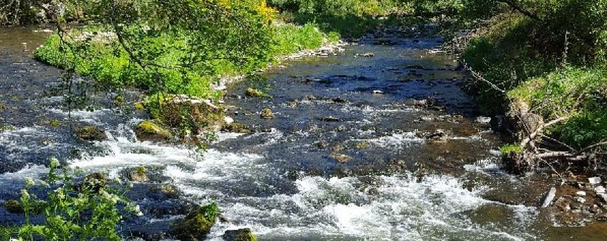 The Old Bridge of Livet