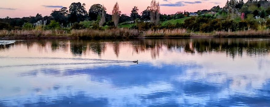 Wairoa River Reserve