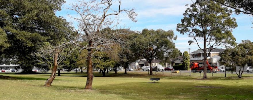 Tonbridge Street Reserve
