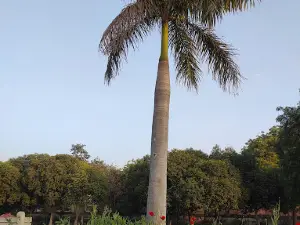 Town Park