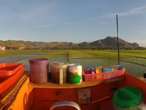 KOPI SAWAH SANGGRAHAN (Kawan Ngopi Kopling Aerox)