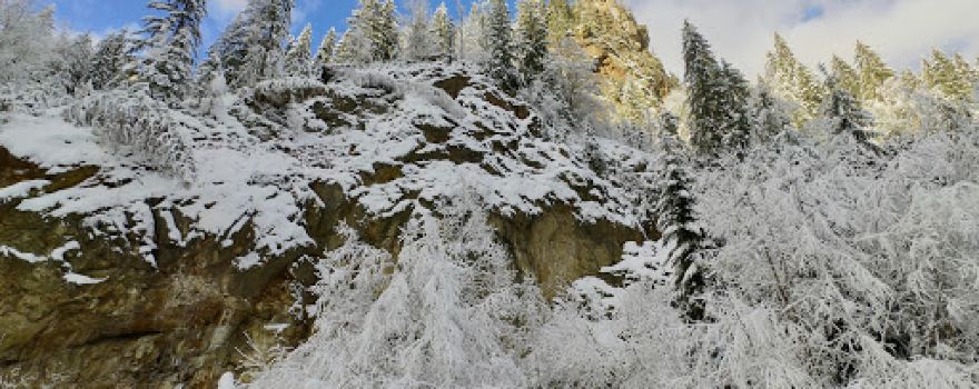 Piatra Șoimului