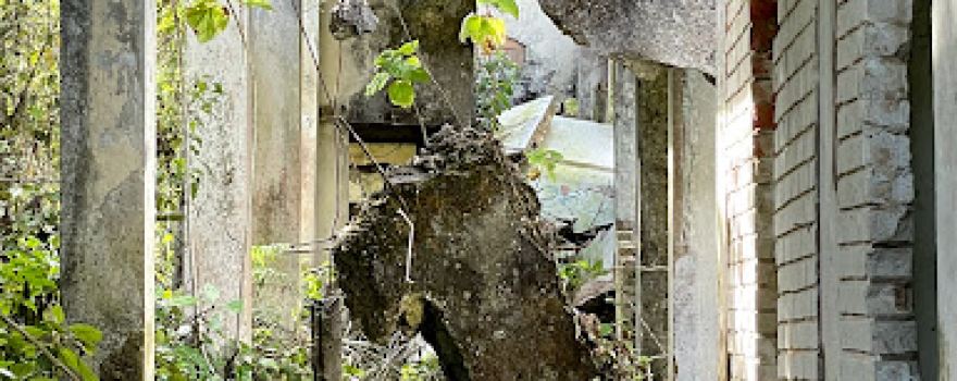 Ruinas Antiguo San Cayetano