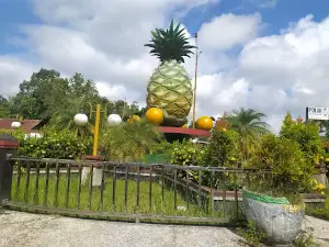 Bundaran Nanas Kota Besi