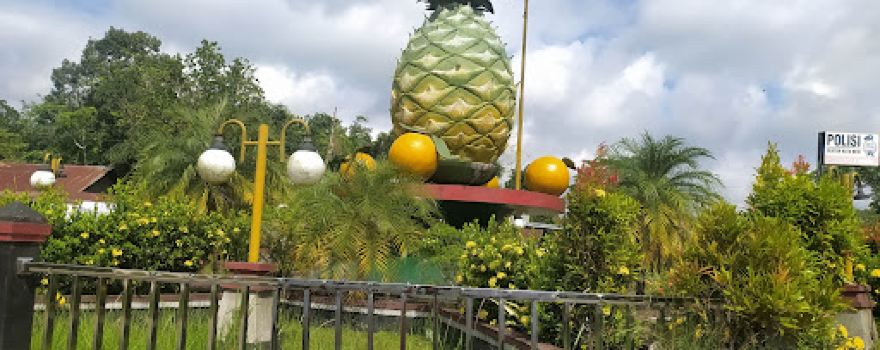 Bundaran Nanas Kota Besi