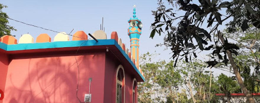 Choto Bhaijora Mridha Bari Jame Masjid