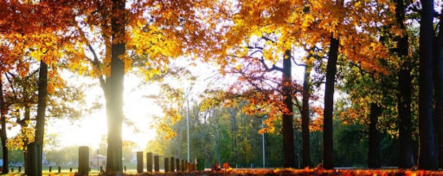 Studebaker Park