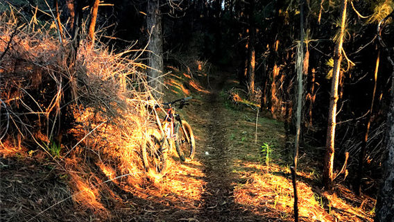 Fox Creek Bike Park Lower Car Park