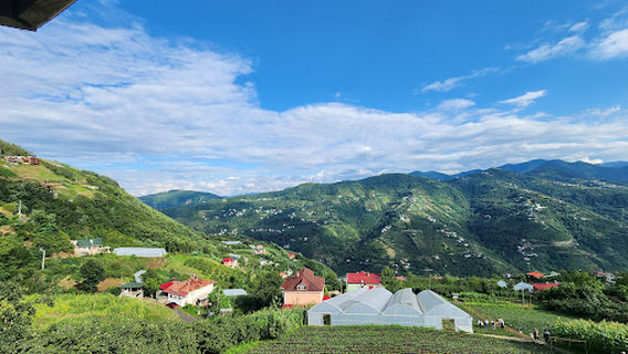 مزرعة فراولة الحاج صالح ÇİLEKÇİ HACI SALİH