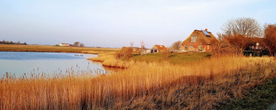 Ockholm