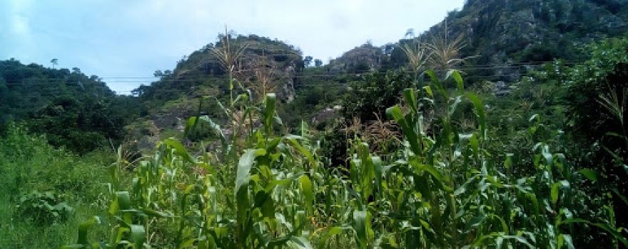 Monte Cherimpo