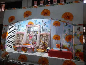 Shri Jangla Wale Mata Ji Mandir