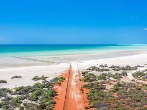 Shell Beach Conservation Park