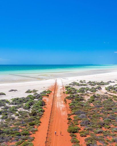 Shell Beach Conservation Park