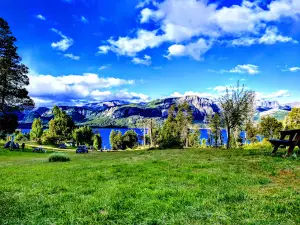 Camping "Paloma Araucana"