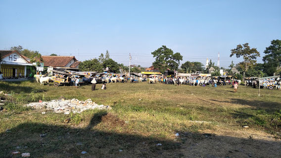 Multipurpose Building Tlogo