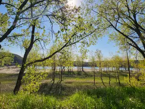 Downstream Campground