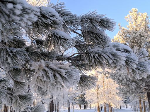 Irkutsk to Nadym Flights