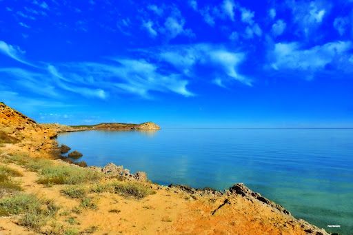 Whale Bone Point Scenic Lookout