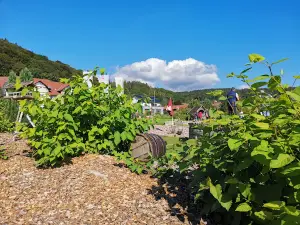 Abenteuer Golf Gelnhausen