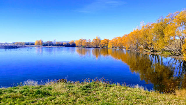 Lake Poaka Campsite