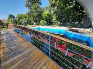 Stejarul lui Avram Iancu