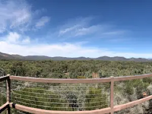 HILLS HOMESTEAD
