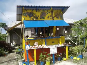 Grape Hall SDA