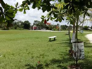 Park, Playground, Football, Basketball