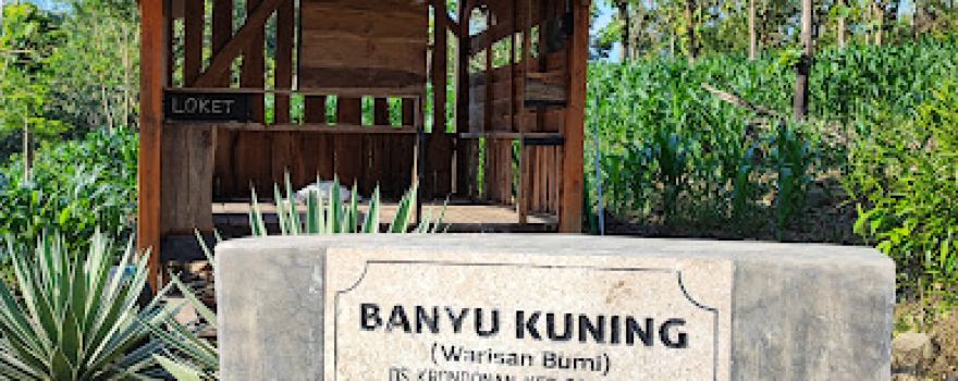 Banyu Kuning