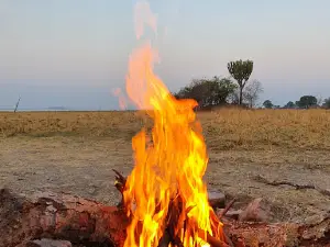 Hippo Bay Campsite