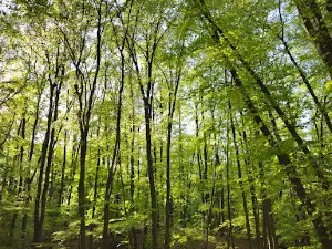 Katalinpusztai kirándulóközpont