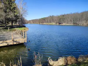 Vadása tó és Szabadidőpark