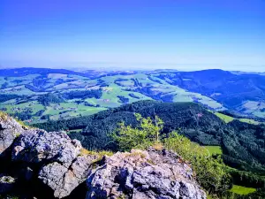 Steinerner Jäger