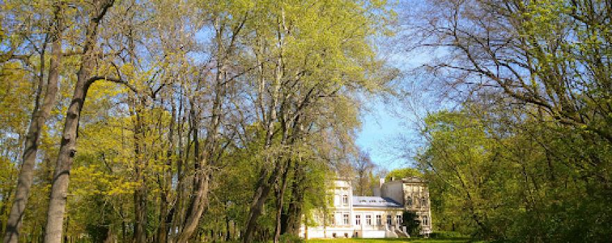 Pałac z ok. 1870 roku Arnolda i Adeli Tieman